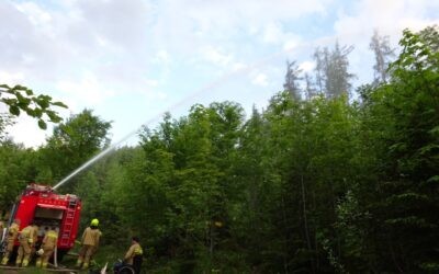 Waldbrandübung Rauchenberg am 17.05.2022